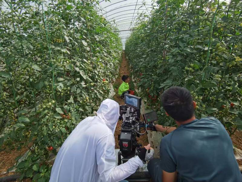 金安区产品宣传视频拍摄公司进阶指南，助力品牌抢占传播高地